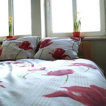 Central Hostel Nakvynės namai Riga